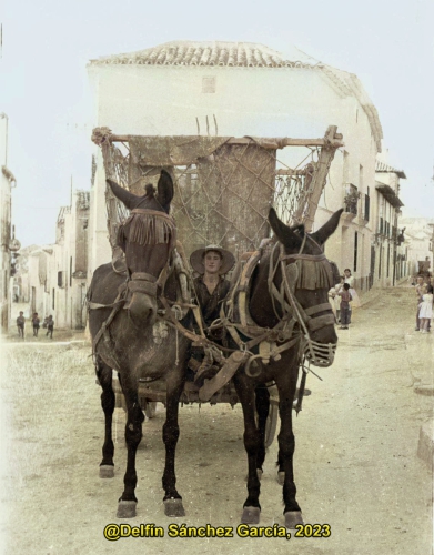 Faenas de verano (1957)