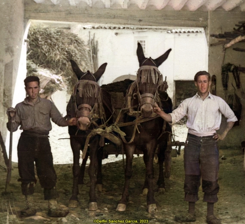 Acarreando basura (1953)