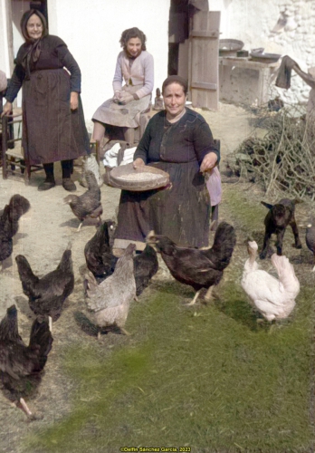 Alimentando a las gallinas (1954)