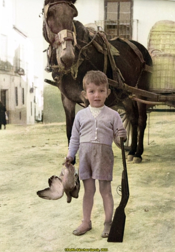 Delfín con su ecopeta (1956)