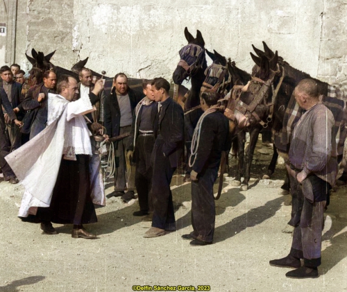 Fiesta de San Antón (1956)