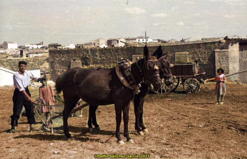 Hombre arando (1953)