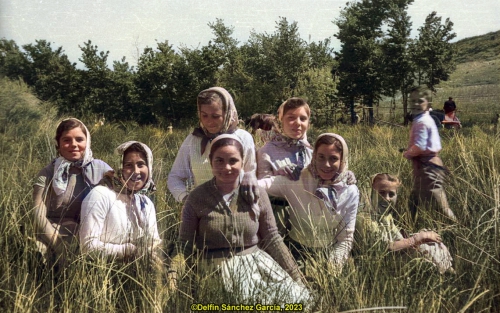 Romeria de la Virgen de la Paz (1955)