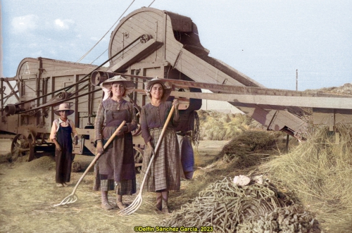 Trabajadoras agrícolas (1955)
