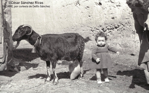 1954-Chelo-Esteban-y-cabra-lechera
