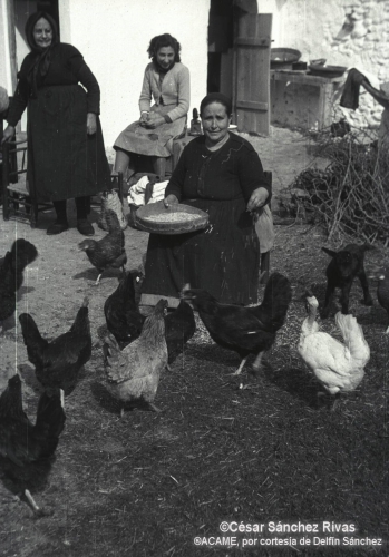 1954-Las-gallinas-felices-y-cordero.-Antonia-Santiaga-y-Maria.