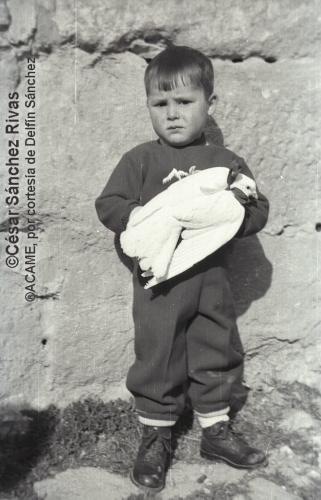 1954-Nino-con-paloma-en-la-bendicion-por-San-Anton