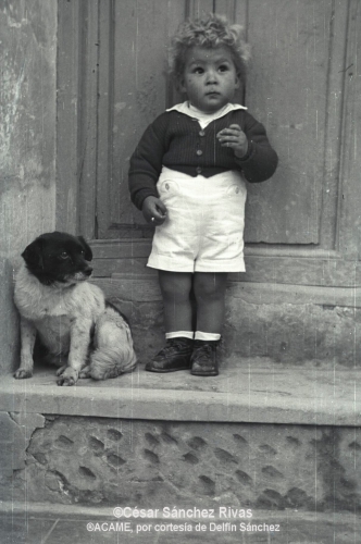 1954-Nino-con-perrillo